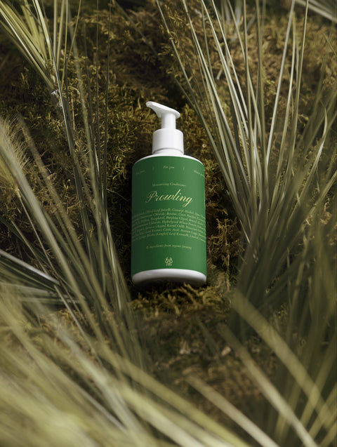 Hair Repair & Shine Duo