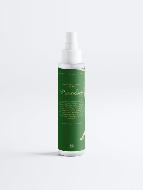 Hair Repair & Shine Duo